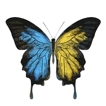 butterfly-png-8-5