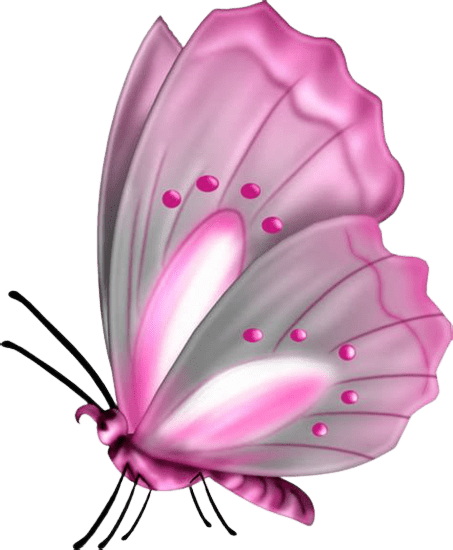 butterfly-png-9-1