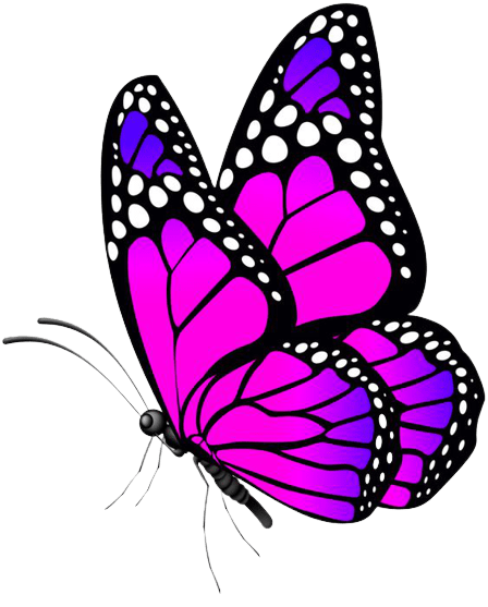 butterfly-png-9-2