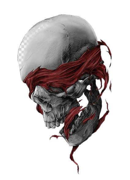 skull-1-1
