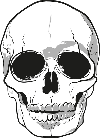 skull-1-9