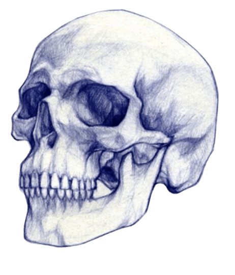 skull-2-2