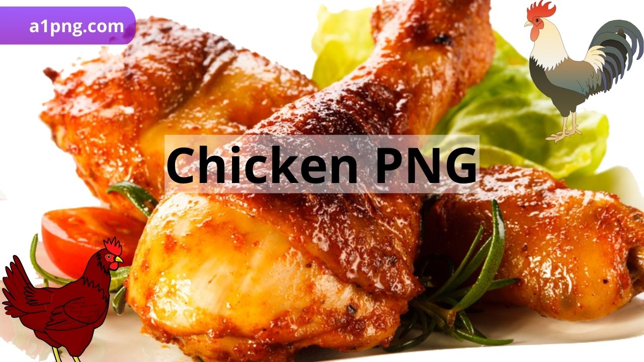 [Best 40+]» Chicken PNG, Logo, ClipArt [HD Background]