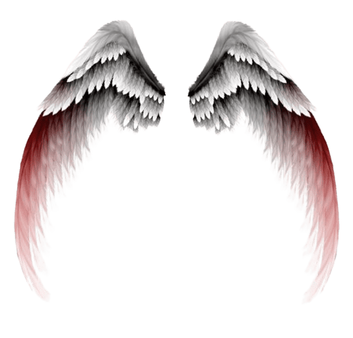 angel-png-10-1