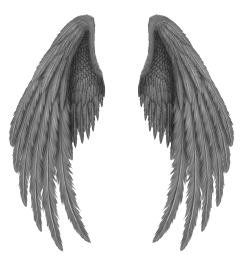 [Best 25+]» Angel PNG, ClipArt, Logo & HD Background