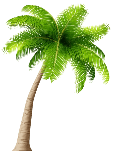 [Best 40+]» Beach PNG, ClipArt [HD Background]
