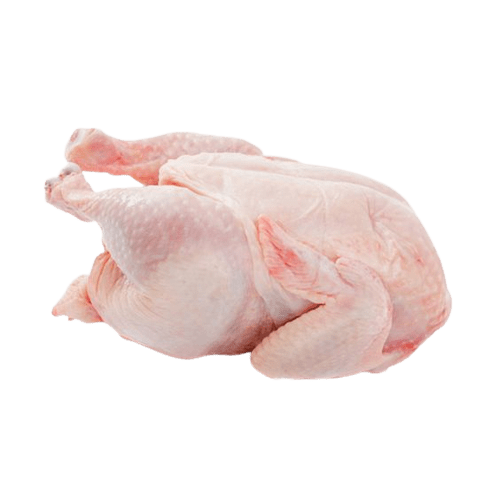 chicken-png-9-2
