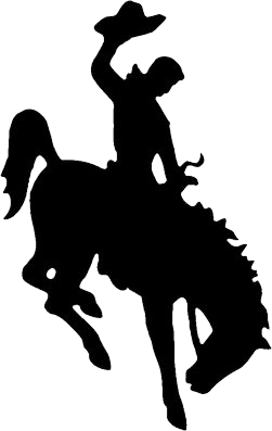 cowboys-logo-png-2-2