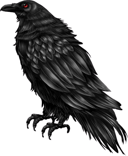 crow-png-6-1