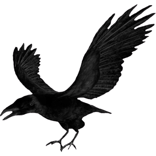 crow-png-6