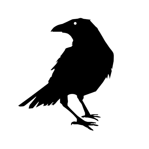 crow-png-8-1