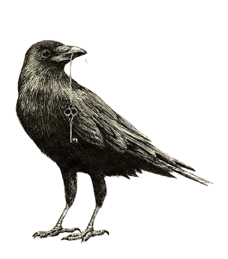 crow-png-9
