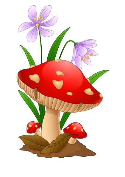 mushroom-png-10