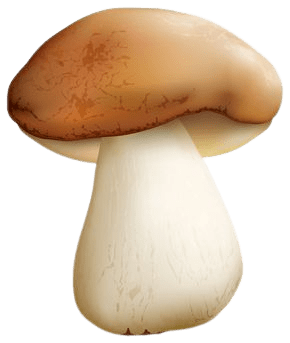 mushroom-png-11