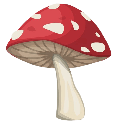 mushroom-png-12