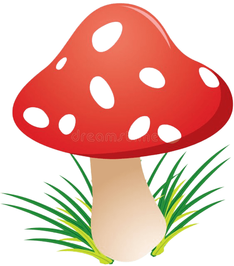 mushroom-png-13