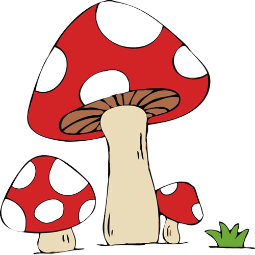 mushroom-png-17
