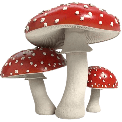 mushroom-png-22