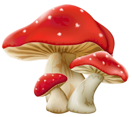 mushroom-png-7