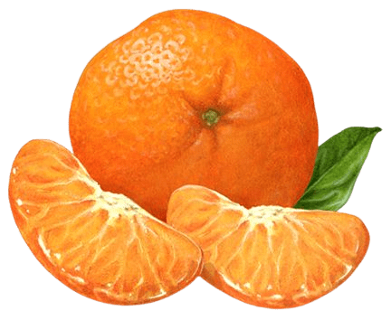 orange-png-14