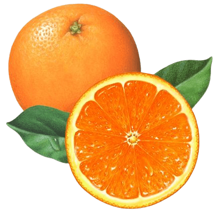 orange-png-17-1