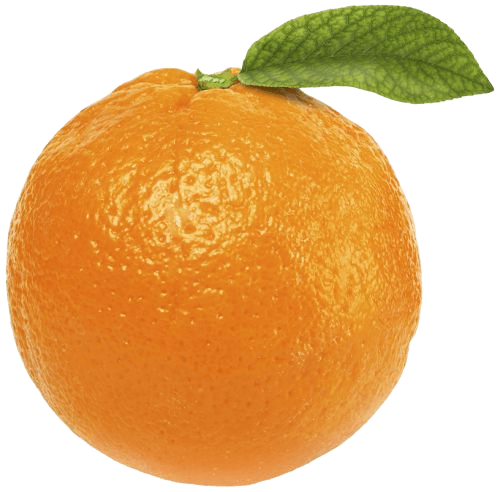 orange-png-22