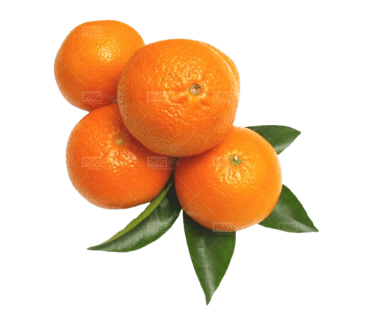 orange-png-5-1