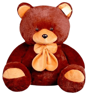 teddy-bear-png-13