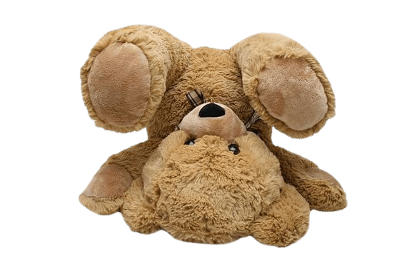 teddy-bear-png-8