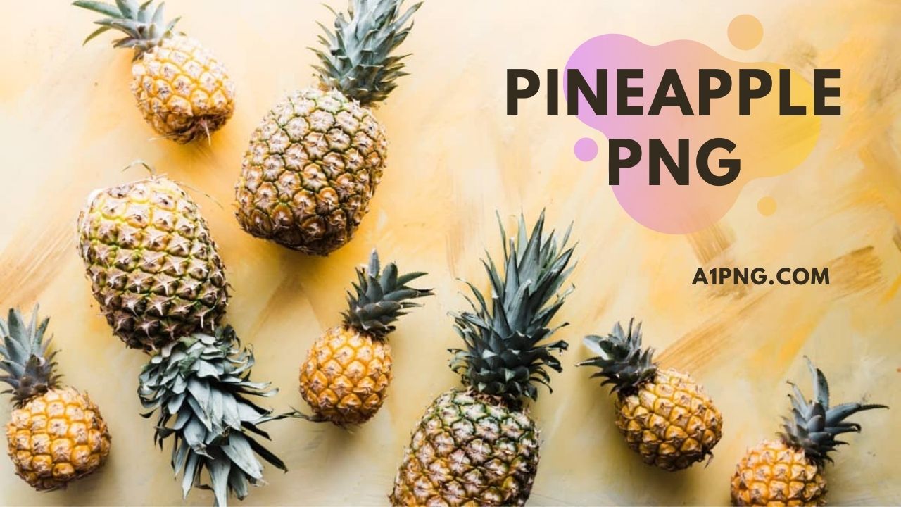 [Best 20+]» Pineapple PNG» HD Transparent Background