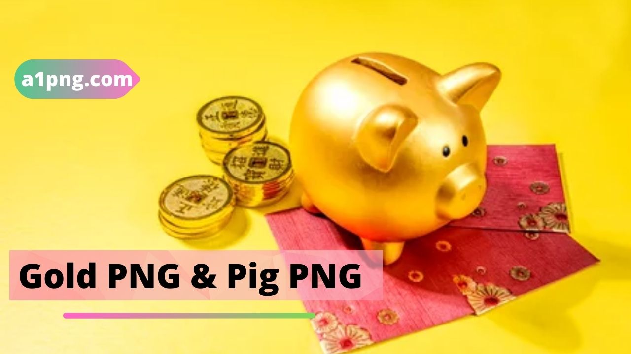 [Best 35+] » Gold PNG & Pig PNG [HD Transparent Background]