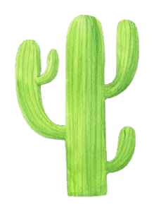 cactus-png-10-1