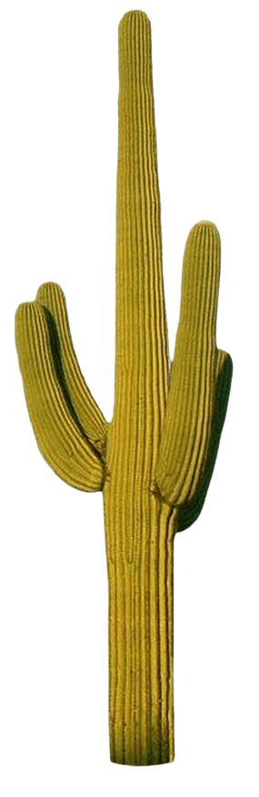cactus-png-11