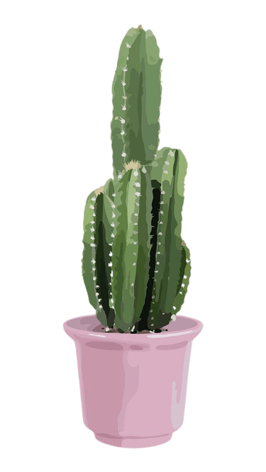 cactus-png-15