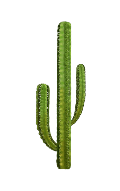 cactus-png-16