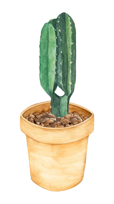 cactus-png-21