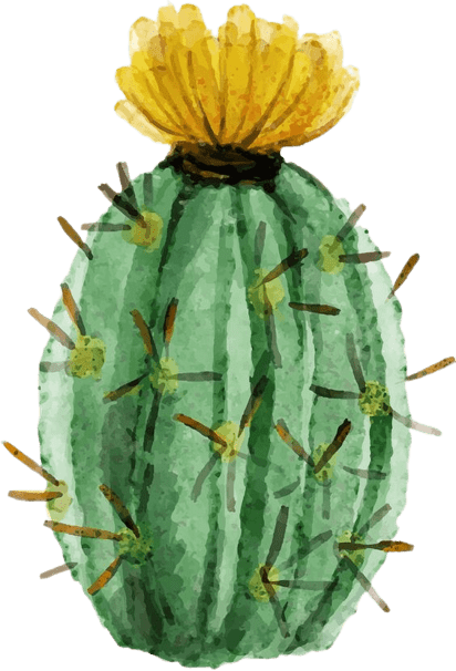 cactus-png-5