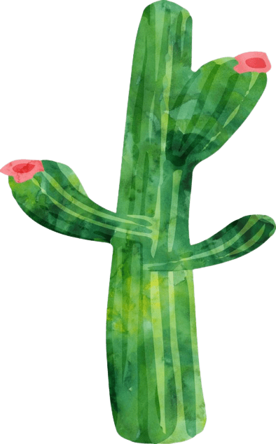 cactus-png-6-1
