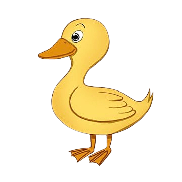 duck-2