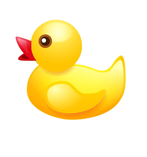 duck-3