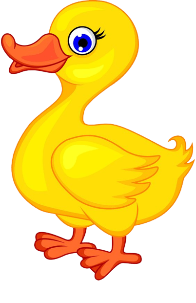 duck-png-4-1