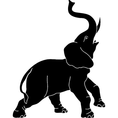 elephant-png-15