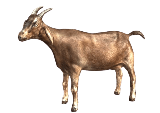 goat-png-2-4