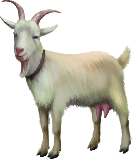 goat-png-4-2