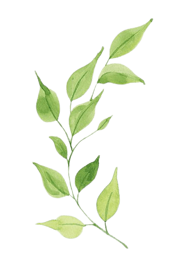 leaf-1-4