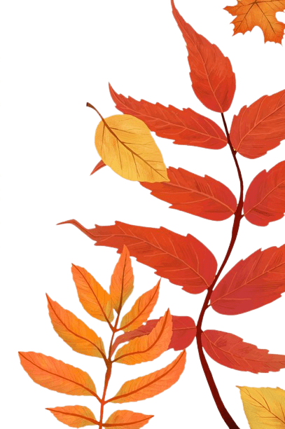 leafs-4