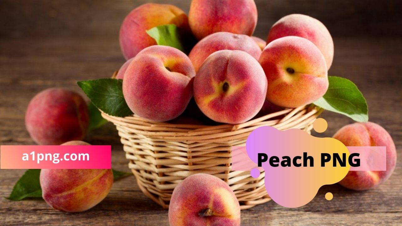 [New 30+]» Peach PNG» ClipArt, Logo & HD Background