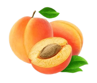 peach-png-10-3