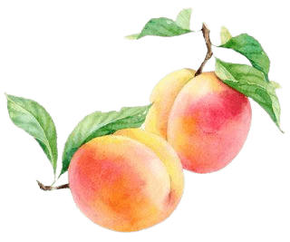 peach-png-10