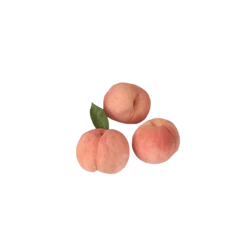 peach-png-11